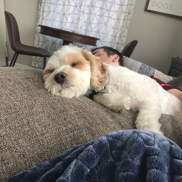 Meet your Posher, Kyle - Picture 1 of 1